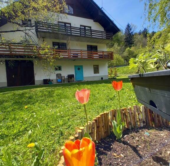 The Riverside Chill Hostel