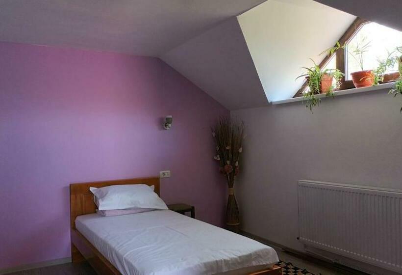 בית מלון כפרי Agropensiunea Alexandra