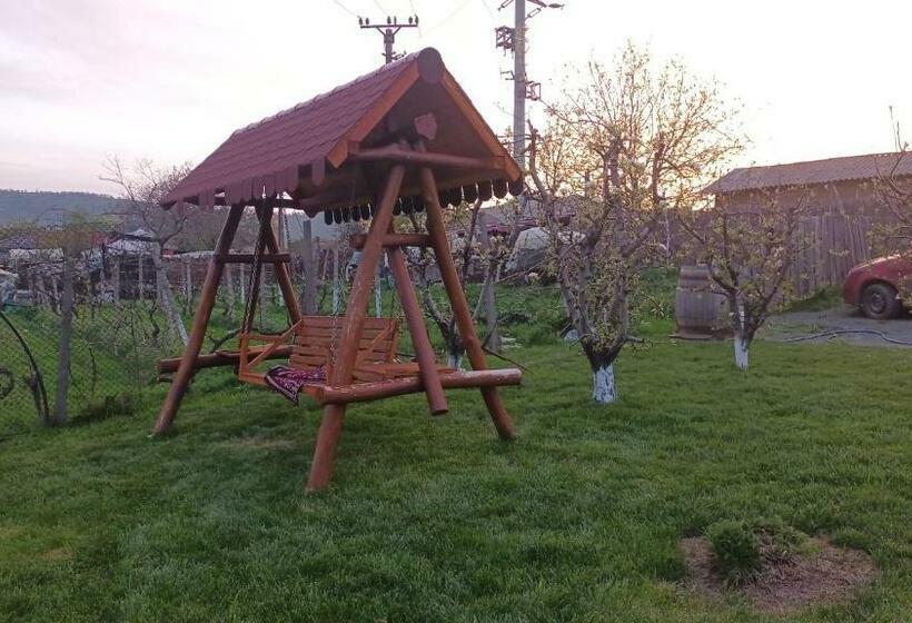 בית מלון כפרי Agropensiunea Alexandra