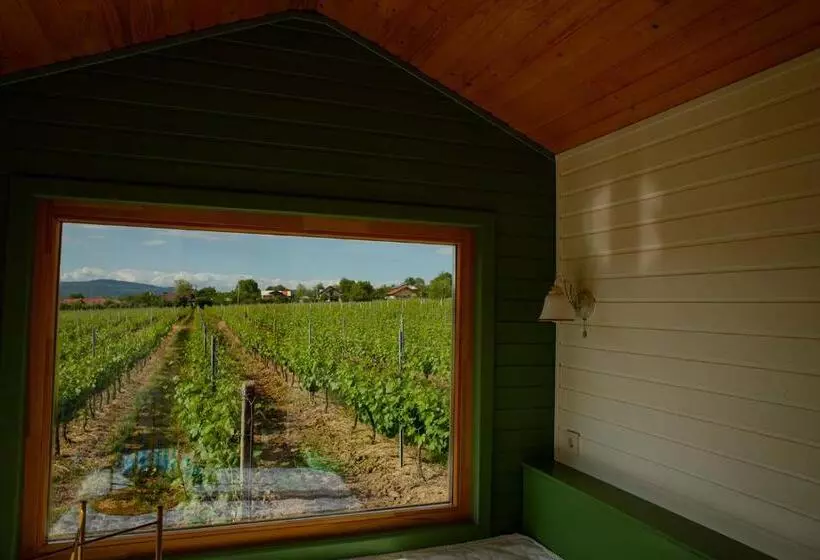 ペンション Tiny House In The Vineyard By Gramofon Wine