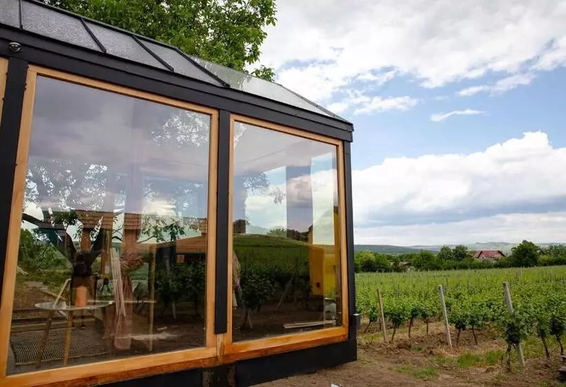 ペンション Tiny House In The Vineyard By Gramofon Wine