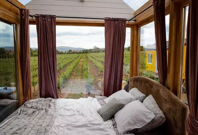 ペンション Tiny House In The Vineyard By Gramofon Wine