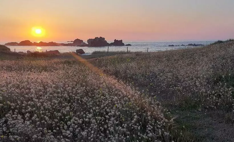 Aamiaismajoitus (B&B) Au Dolmen De Kerhus Mysigt