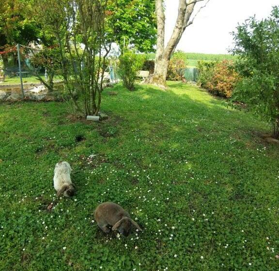 Отель Agriturismo Corte Matiola