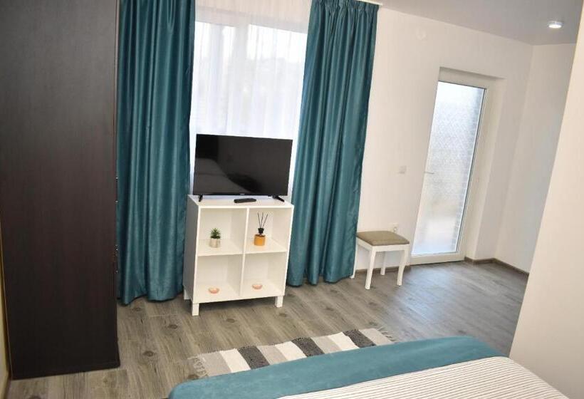 Пансион Casa Dumitru 2