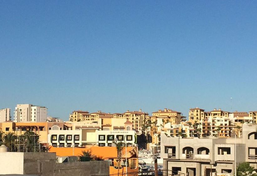 Baja S Cactus Hostel