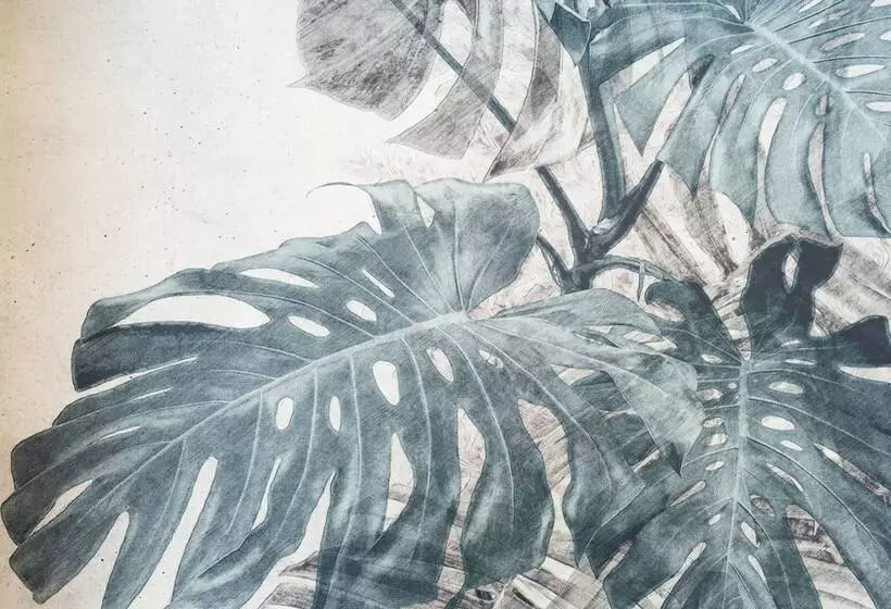 Bed and Breakfast At Forty-one