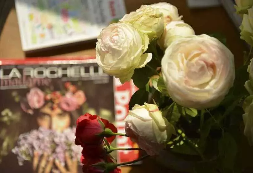 Hotell Accostage Hôtel Plage De La Concurrence