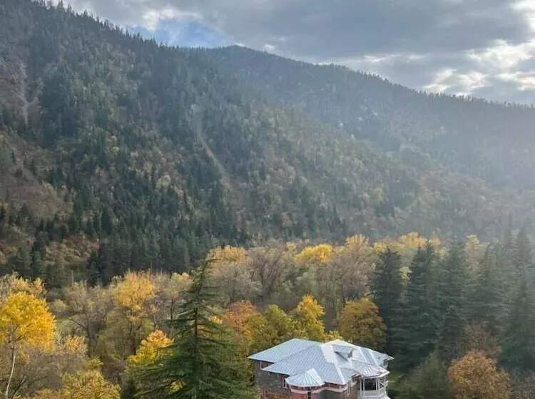 هتل Borjomi Likani Health & Spa Centre