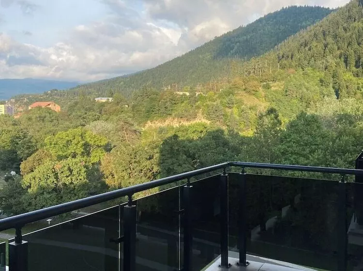 هتل Borjomi Likani Health & Spa Centre