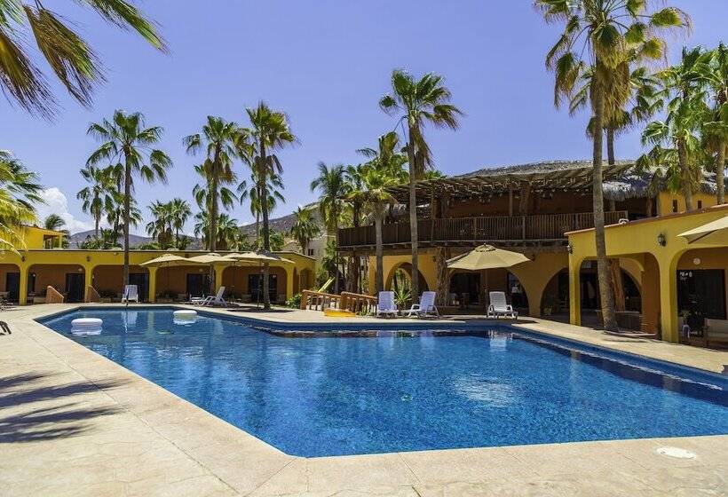 Отель Playa Del Sol