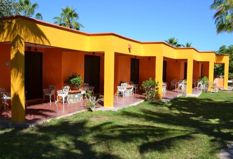 Отель Playa Del Sol