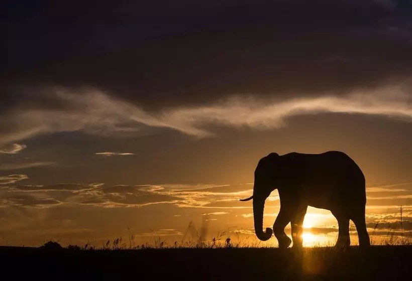 酒店 Shamwari Long Lee Manor