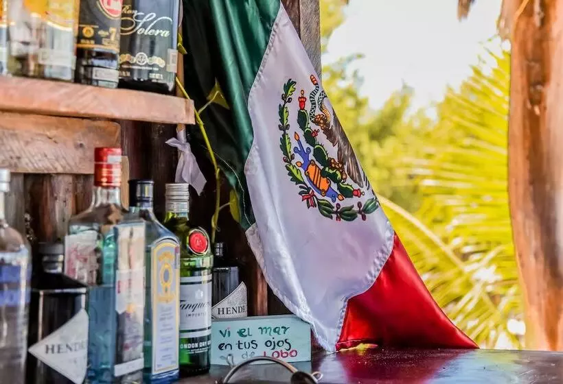 호텔 Zomay Beachfront Holbox