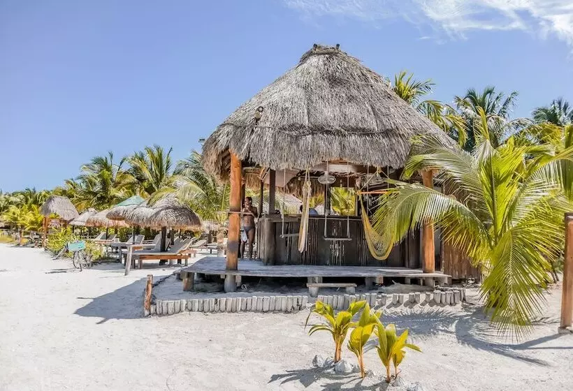 호텔 Zomay Beachfront Holbox