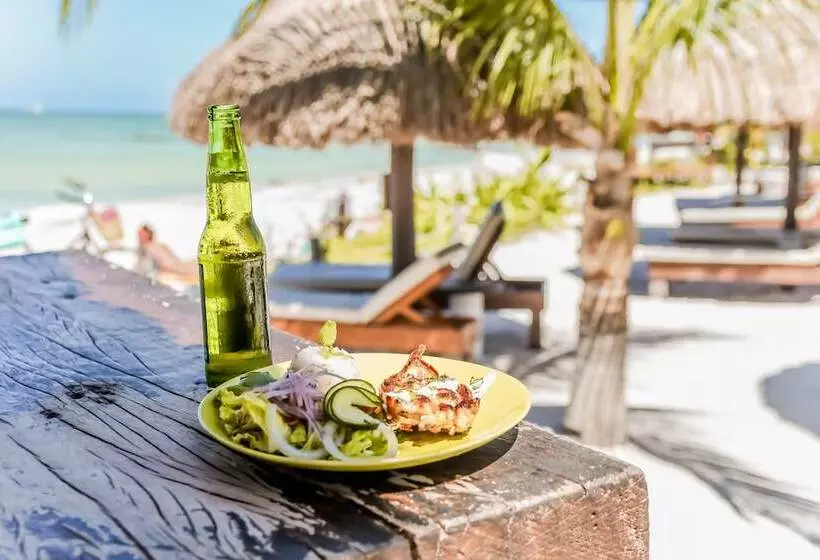 호텔 Zomay Beachfront Holbox