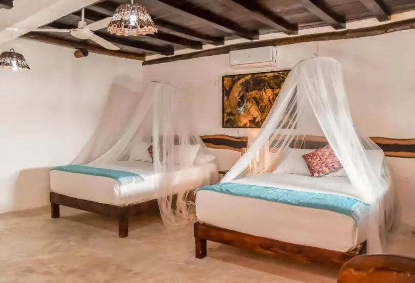 호텔 Zomay Beachfront Holbox