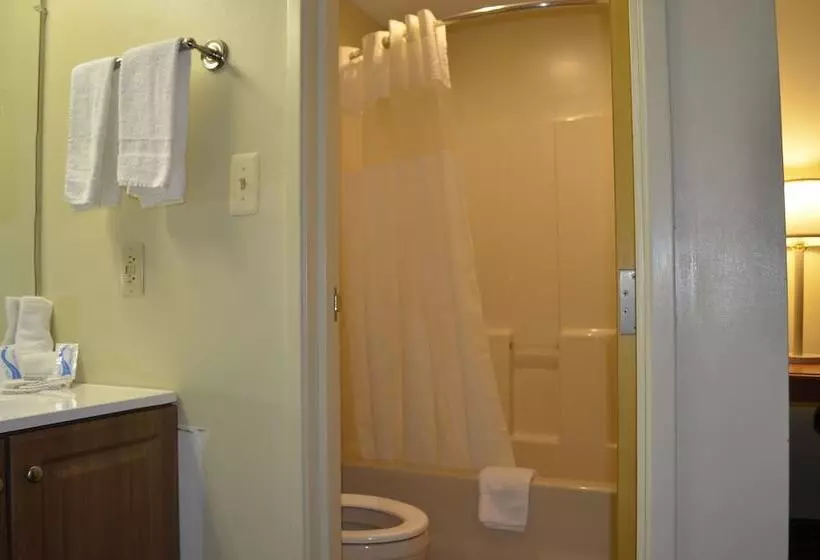 汽车旅馆  Budget Inn Williamsville