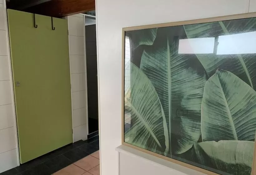 הוסטל Peppertree Lodge & Backpackers