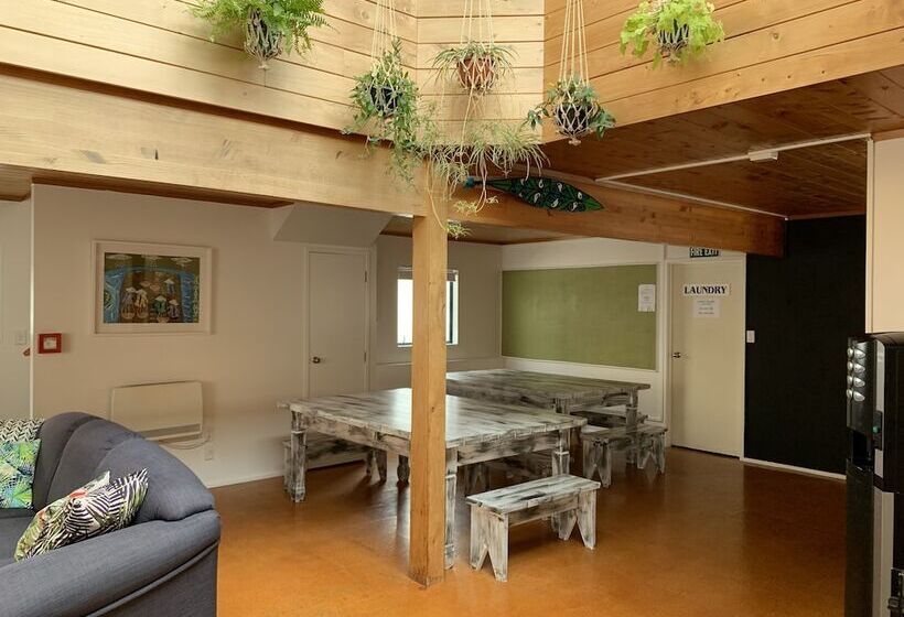 הוסטל Peppertree Lodge & Backpackers