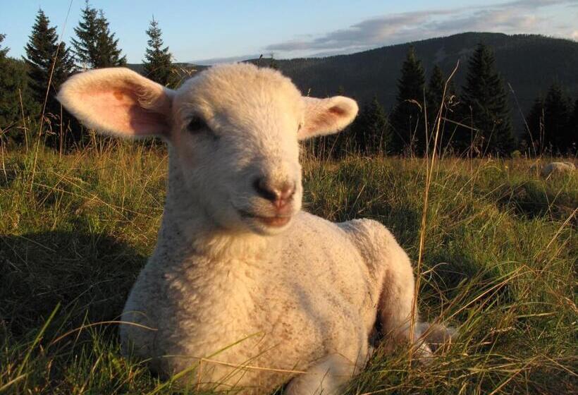 פנסיון Resort Sv. František Josefova Bouda