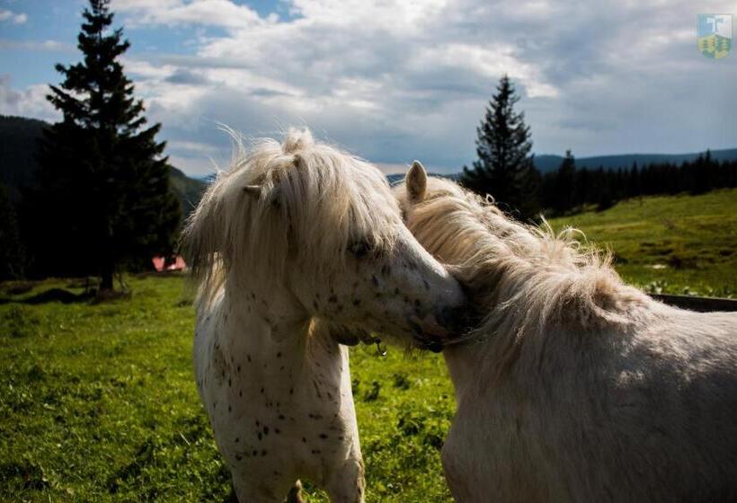 פנסיון Resort Sv. František Josefova Bouda