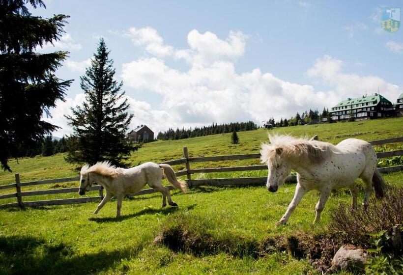פנסיון Resort Sv. František Josefova Bouda