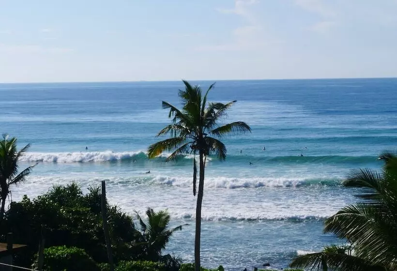 ホテル Cozy Cocos