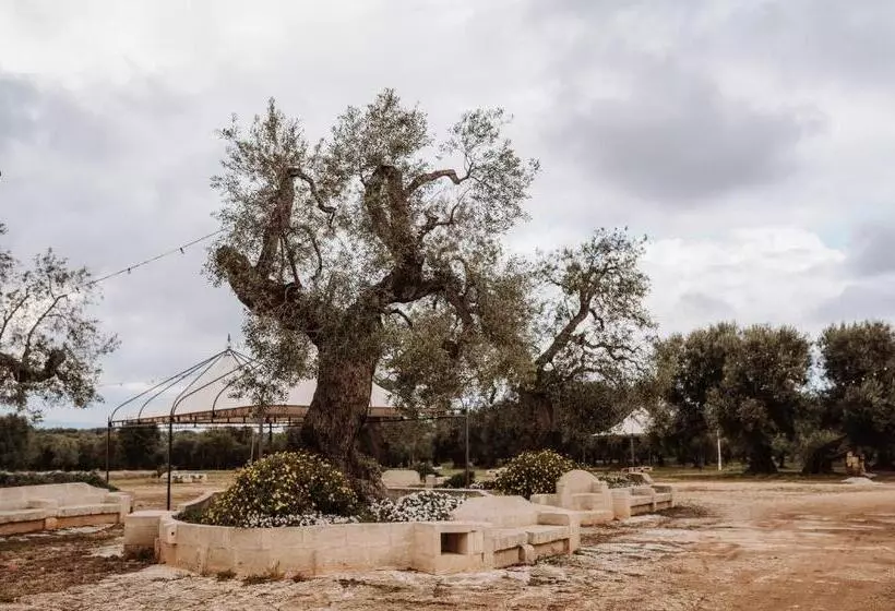 ホテル Masseria Casamassima Agriturismo