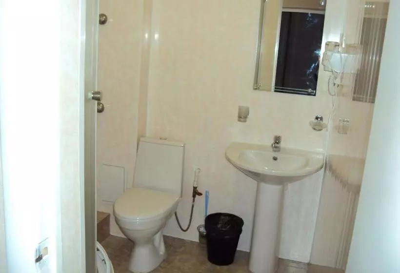 בית מלון כפרי Aviator