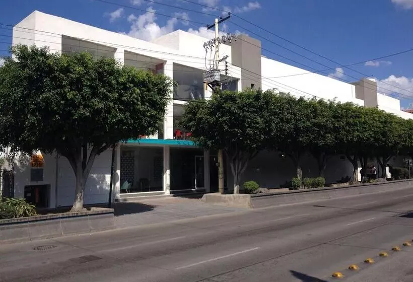 酒店 Dajana Boulevard