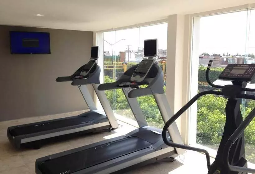 酒店 Dajana Boulevard