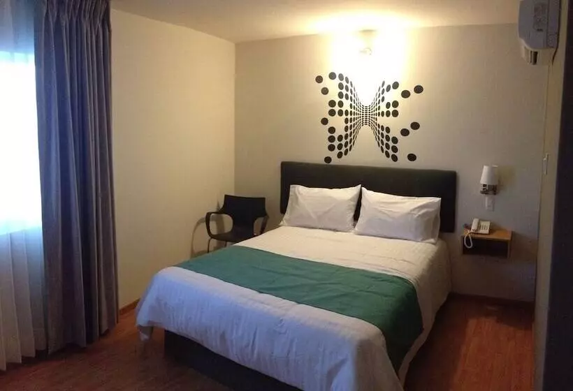 酒店 Dajana Boulevard