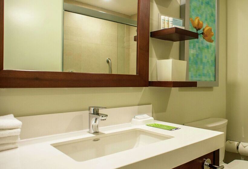 Отель Hampton Inn By Hilton Merida