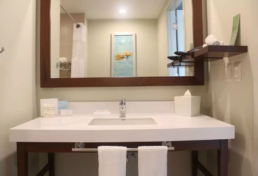 هتل Hampton Inn By Hilton Villahermosa