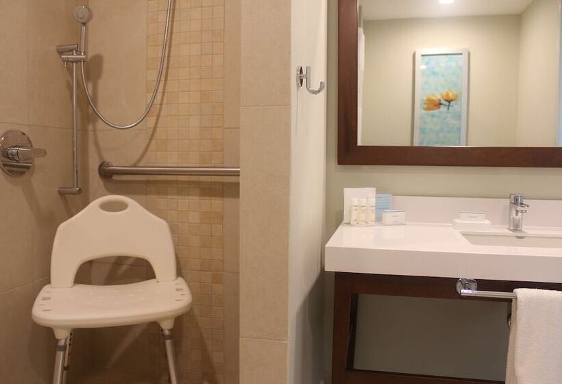 فندق Hampton Inn By Hilton Villahermosa