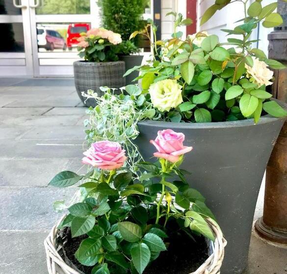 Отель Kongsvinger Budget