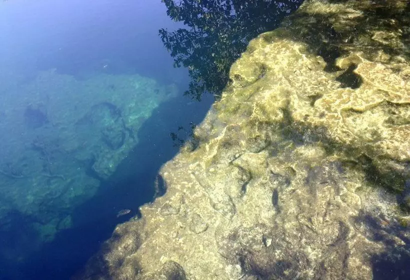 Alberg Cenote El Encanto