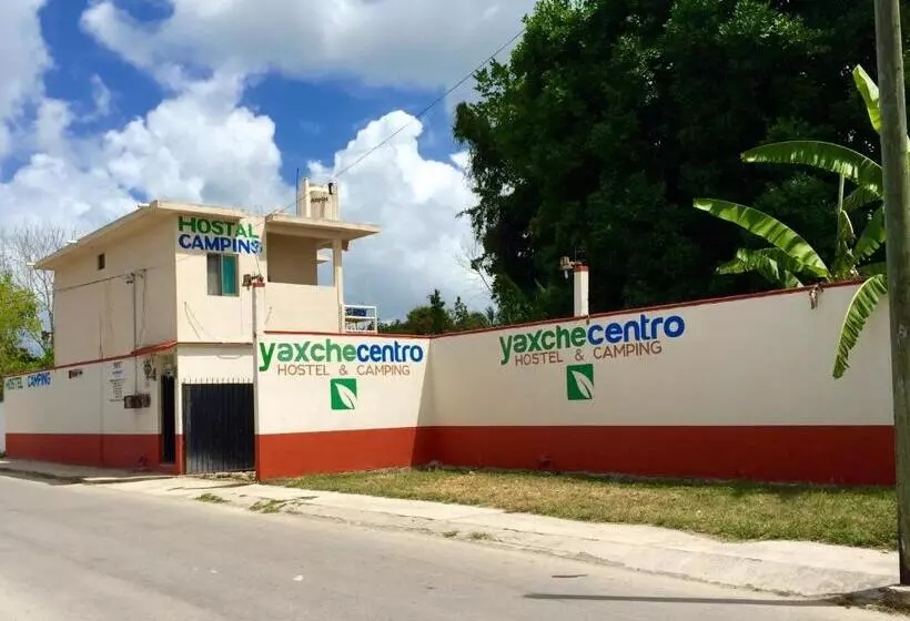 호스텔 Yaxche Centro Hostal Y Camping
