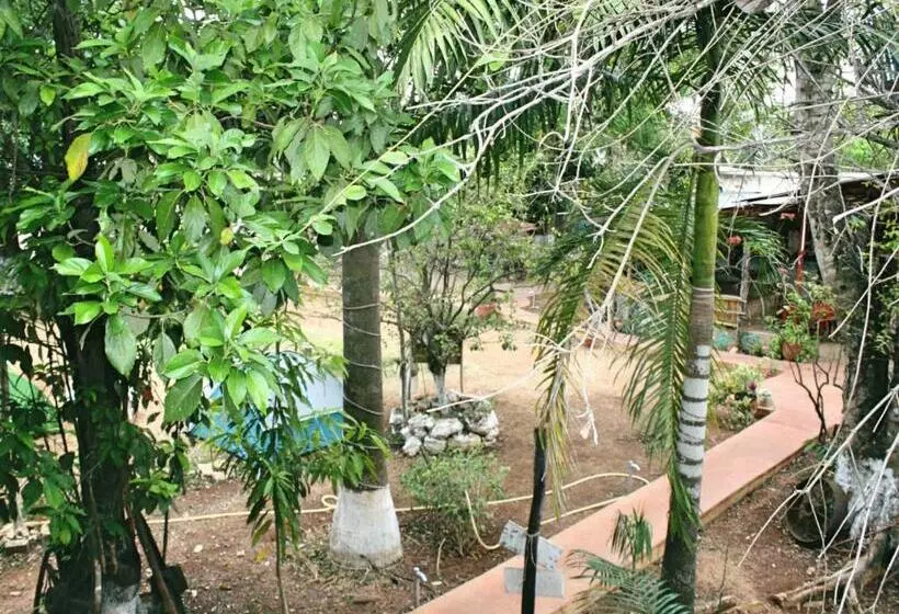 호스텔 Yaxche Centro Hostal Y Camping