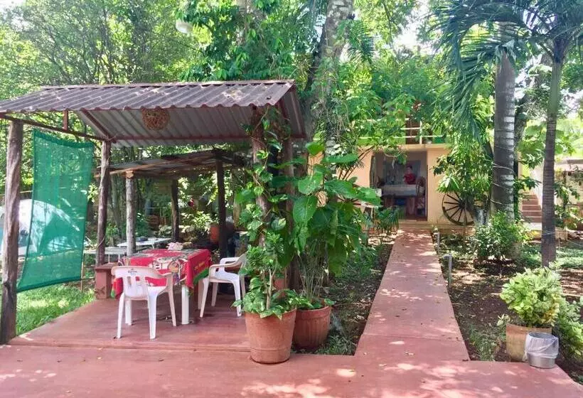 호스텔 Yaxche Centro Hostal Y Camping