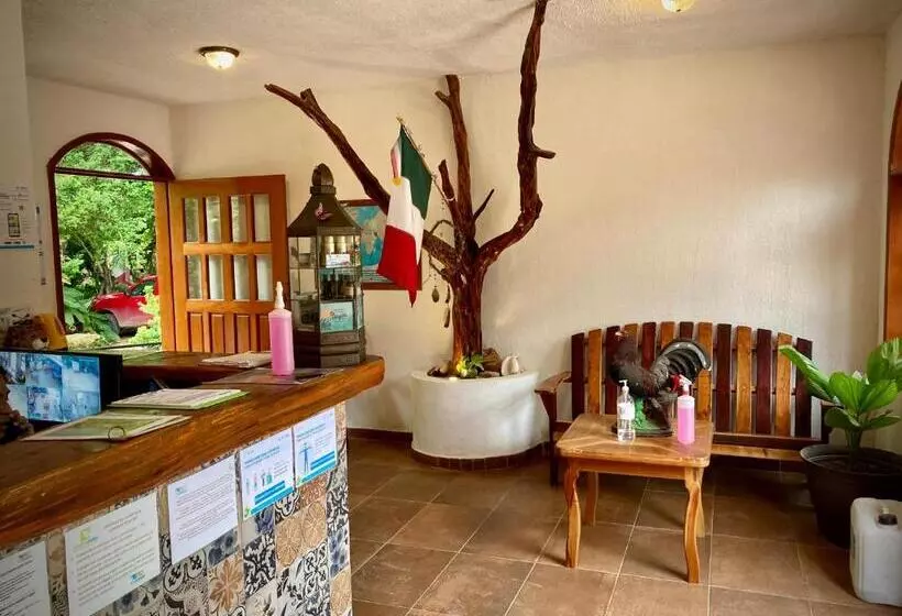 호스텔 Yaxche Centro Hostal Y Camping