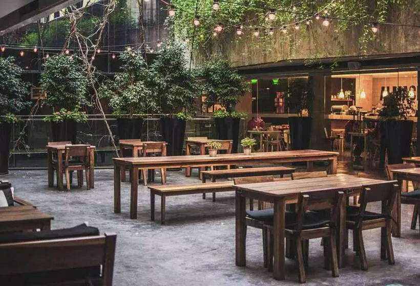 هتل Anselmo Buenos Aires Curio Collection By Hilton