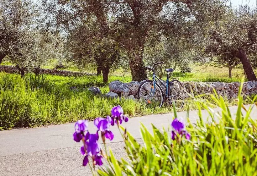 هتل B&b Trullo Casa Rosa