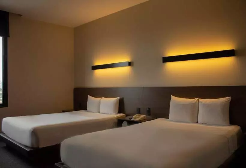 ホテル Holiday Inn Express Mexico City Satelite, An Ihg