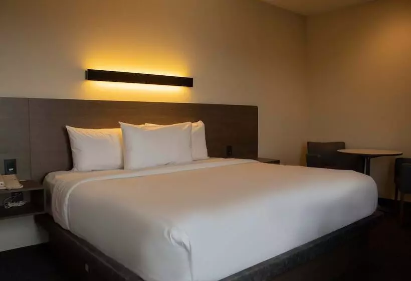 ホテル Holiday Inn Express Mexico City Satelite, An Ihg