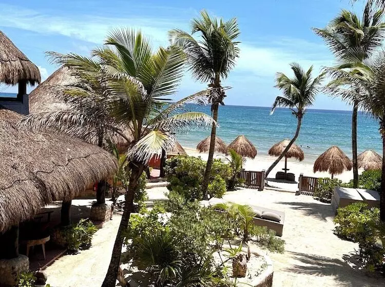 בית מלון כפרי La Conchita Tulum