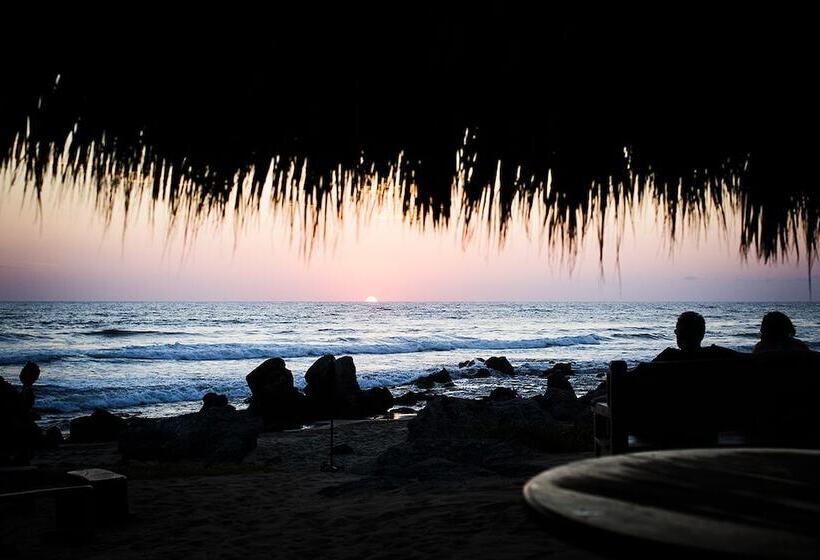 فندق Present Moment Retreat