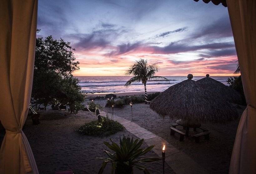 فندق Present Moment Retreat