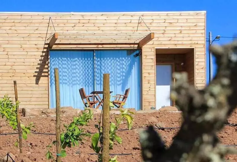 Vale D Azenha Hotel Rural & Residences